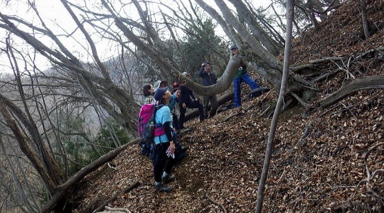 2019.2.16　倉岳山（尾根歩き）