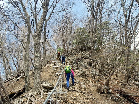 2023.4.23 天目山ハンギョウ尾根(尾根歩き)