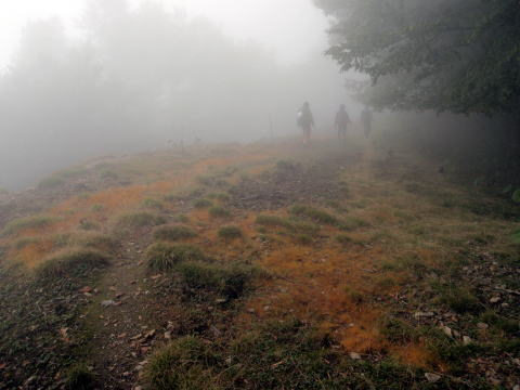 2012.9.22 峰谷川茂窪谷(沢登り)