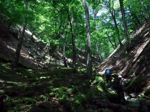 2021.7.31-8.1 大雲取谷(沢登り)