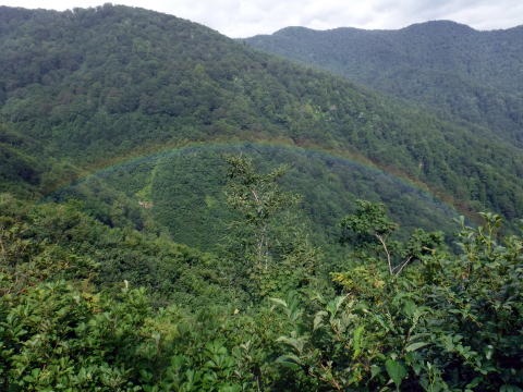 2021.8.8　白毛門沢（沢登り）