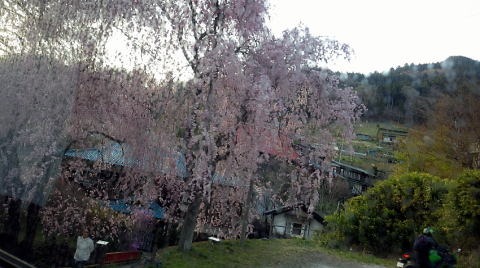 2019.4.20　ヌカザス尾根（尾根歩き）