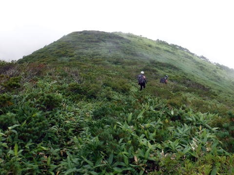 2021.8.11-12 井戸沢(沢登り)
