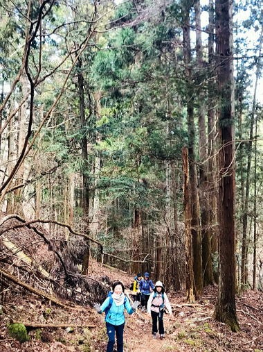 2019.2.16　倉岳山（尾根歩き）