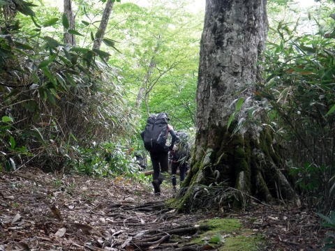 2021.8.11-12 井戸沢(沢登り)
