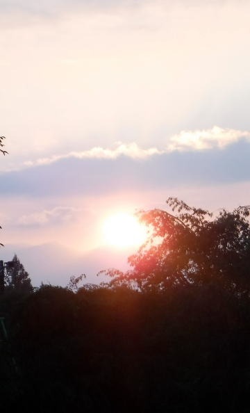 2021.8.28　猿焼山（尾根歩き）