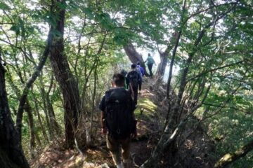 2021.8.28　猿焼山（尾根歩き）