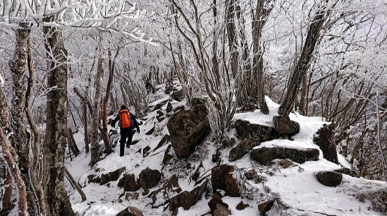 2020.12.19　黒檜山（雪山）
