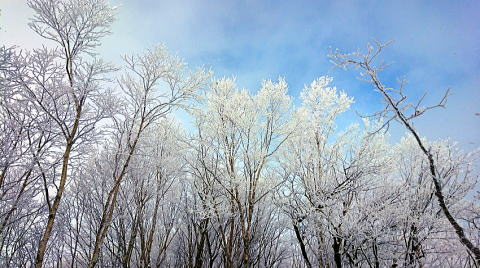 2020.12.19　黒檜山（雪山）