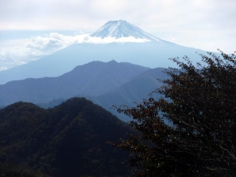 2021.10.24 大蔵高丸(尾根歩き)