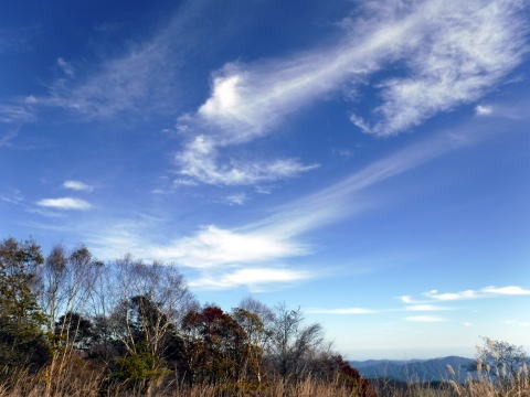 2021.10.24 大蔵高丸(尾根歩き)