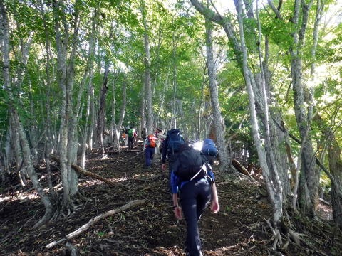2021.10.24 大蔵高丸(尾根歩き)