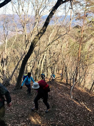 2019.2.16　倉岳山（尾根歩き）