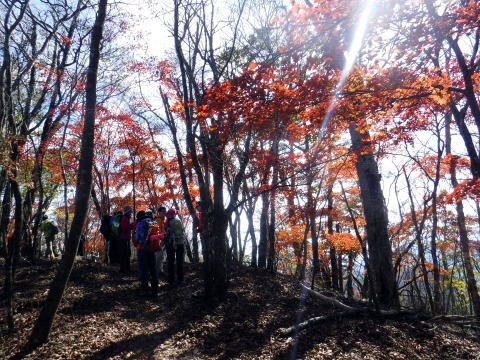 2021.10.24 大蔵高丸(尾根歩き)
