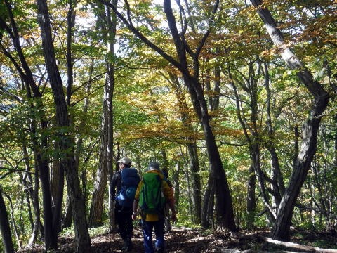 2021.10.30 小坂志川湯場ノ沢(沢登り)