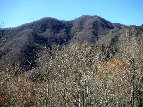 2021.11.27 滝子山(尾根歩き)