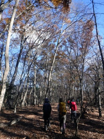 2021.11.27 滝子山(尾根歩き)