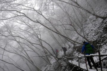 2020.3.15　檜岳（ヒノキダッカ）（尾根歩き）