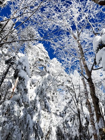 2021.12.18-19 天狗岳(雪山)