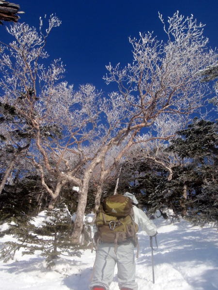 2012.3.3-4 八ヶ岳 権現岳(雪山)