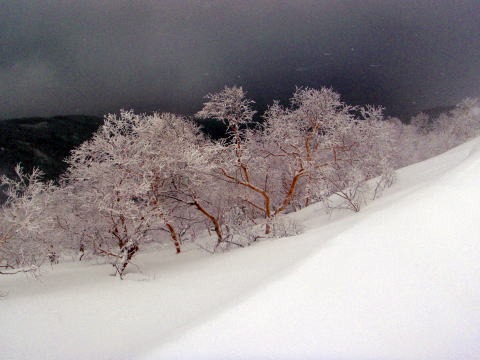 2012.3.24-25 横岳(雪山)