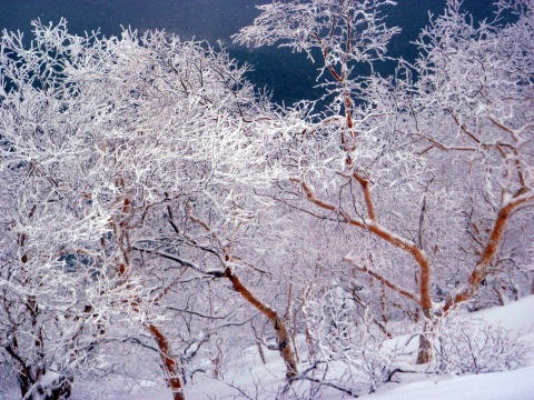 2012.3.24-25 横岳(雪山)