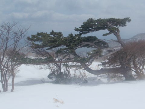 2012.4.7-8 三本槍岳(雪山)