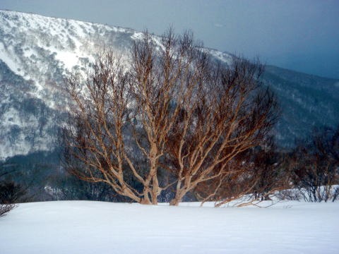 2012.4.7-8 三本槍岳(雪山)