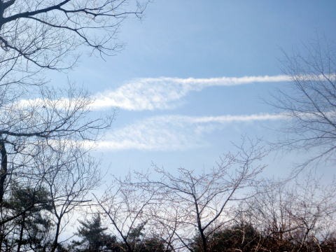 2012.4.15 ナットウ箱山(尾根歩き)