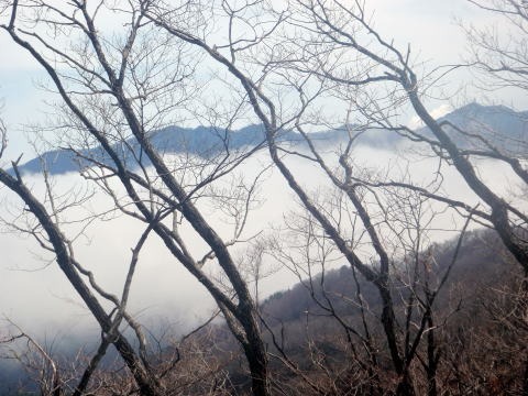 2012.4.15 ナットウ箱山(尾根歩き)