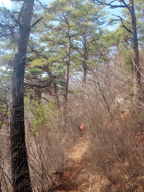 2012.4.15 ナットウ箱山(尾根歩き)