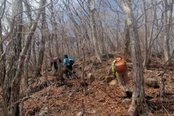 2012.4.15　ナットウ箱山（尾根歩き）