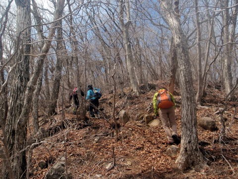 2012.4.15 ナットウ箱山(尾根歩き)