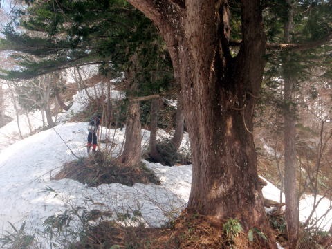 2012.4.21-22 谷川・武能岳西尾根(雪山)