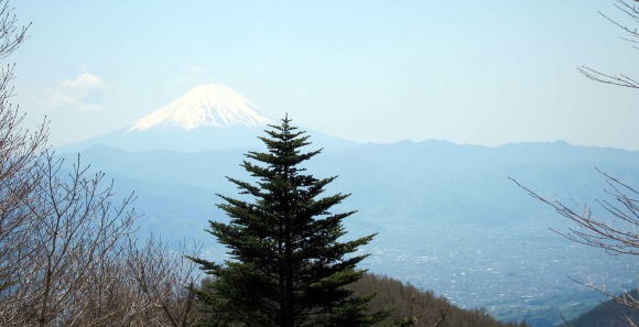 2012.5.5 乾徳山(尾根歩き)