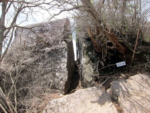 2012.5.5 乾徳山(尾根歩き)