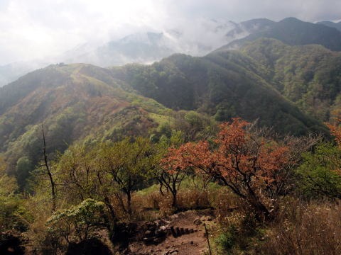 2012.5.12　新茅ノ沢（沢登り）