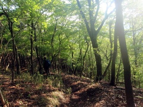 2012.5.12　新茅ノ沢（沢登り）