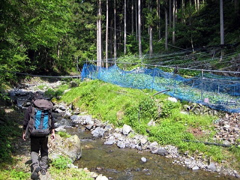 2012.5.20 真名井沢(沢登り)