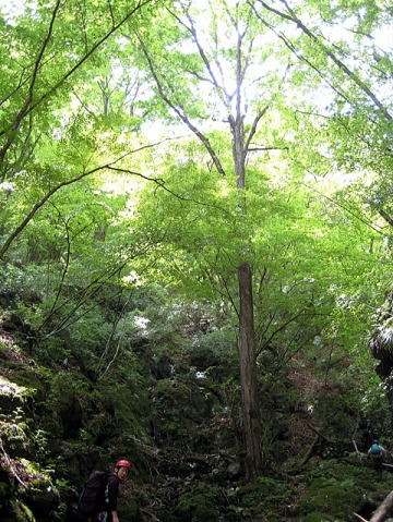 2012.5.20 真名井沢(沢登り)