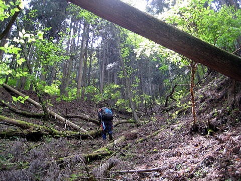 2012.5.20 真名井沢(沢登り)