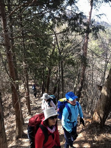 2019.2.16　倉岳山（尾根歩き）