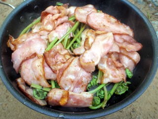 2012.5.26-27 赤湯(山菜採り)(イベント)