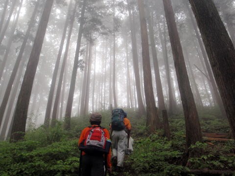 2012.6.3　日ノ出山（労山クリーンハイク）（イベント）