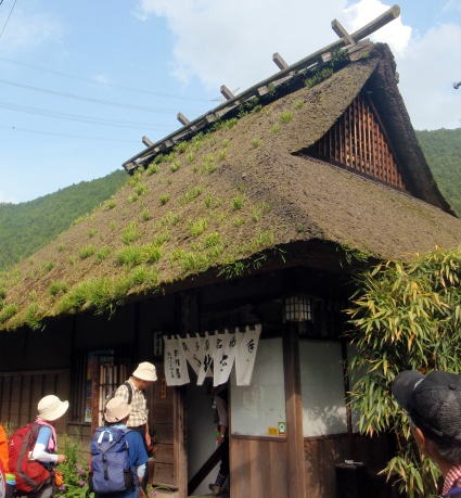 2012.6.3　日ノ出山（労山クリーンハイク）（イベント）