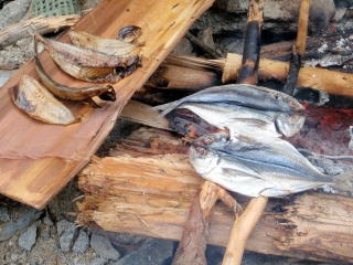 2012.6.23-24　釜ノ沢（沢登り）