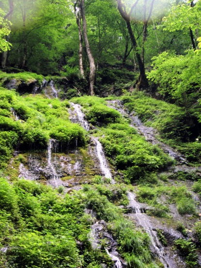 2012.7.14-16 井戸沢(沢登り)