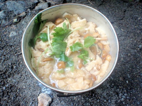 2012.7.14-16 井戸沢(沢登り)