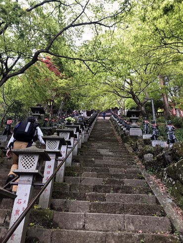 2019.5.6　丹沢大山（尾根歩き）