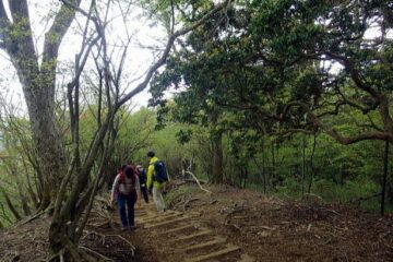 2019.5.6　丹沢大山（尾根歩き）